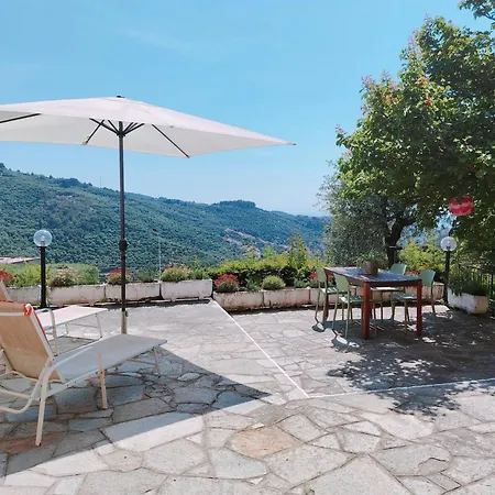 Apartament La Casa Negli Ulivi