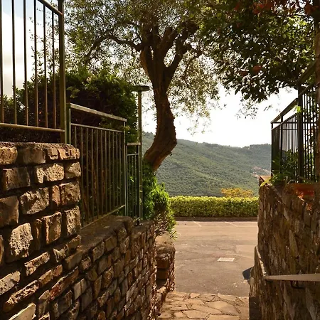 La Casa Negli Ulivi